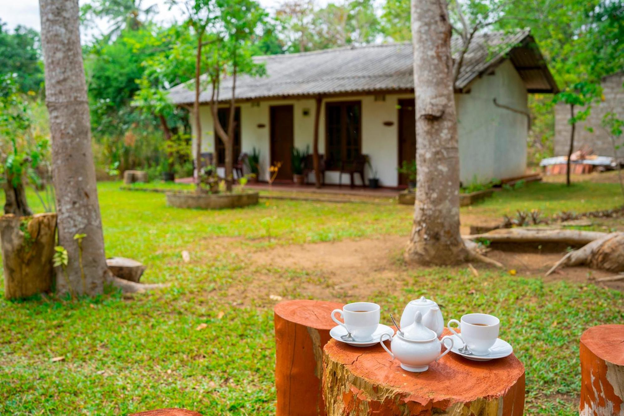 Bed and Breakfast Wild Hut Хабарана Экстерьер фото